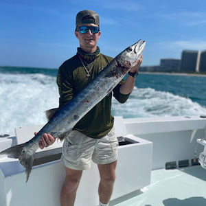 Meet your Posher, Dalton